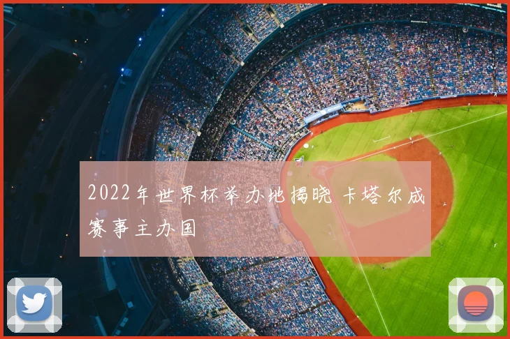 2022年世界杯举办地揭晓 卡塔尔成赛事主办国