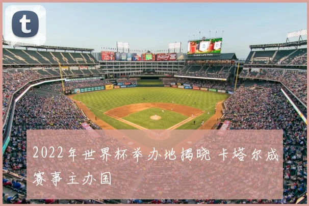 2022年世界杯举办地揭晓 卡塔尔成赛事主办国